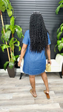 Neva Mini Denim Shirt Dress - Laine Collection