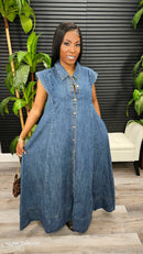 Tiara Sleeveless Maxi Dress - Laine Collection